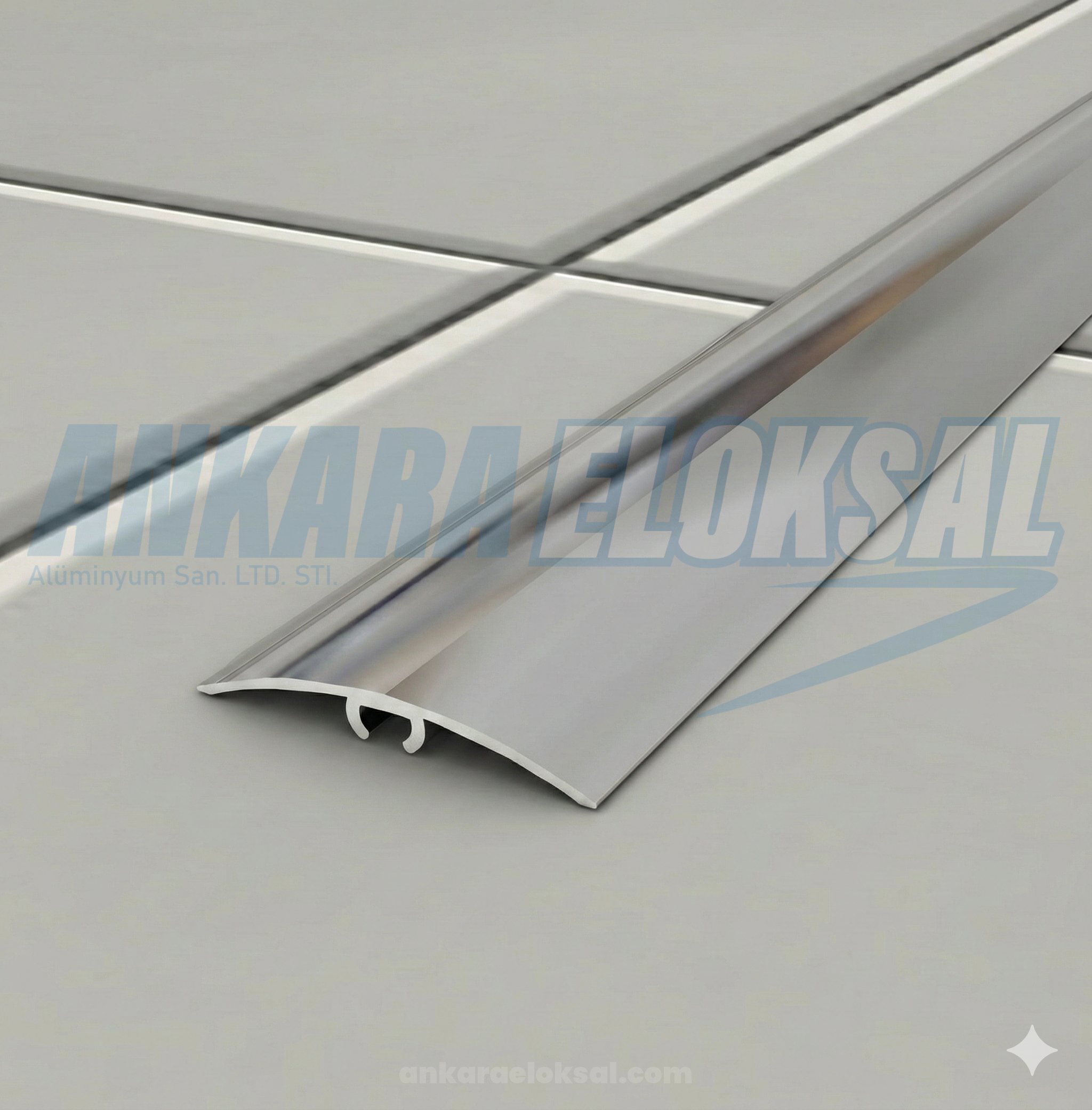 Gizli Vidalı Eşik Profili